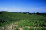 Warmia - Pejzaż zielono niebieski