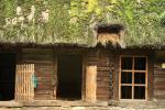 Skansen w Radomiu, sierpień 2007.